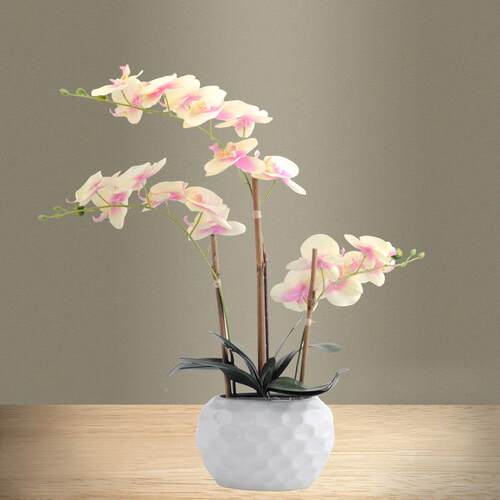 仿真富贵竹假花家居客厅装饰植物假富贵植竹子可护室内QKD1763-绿