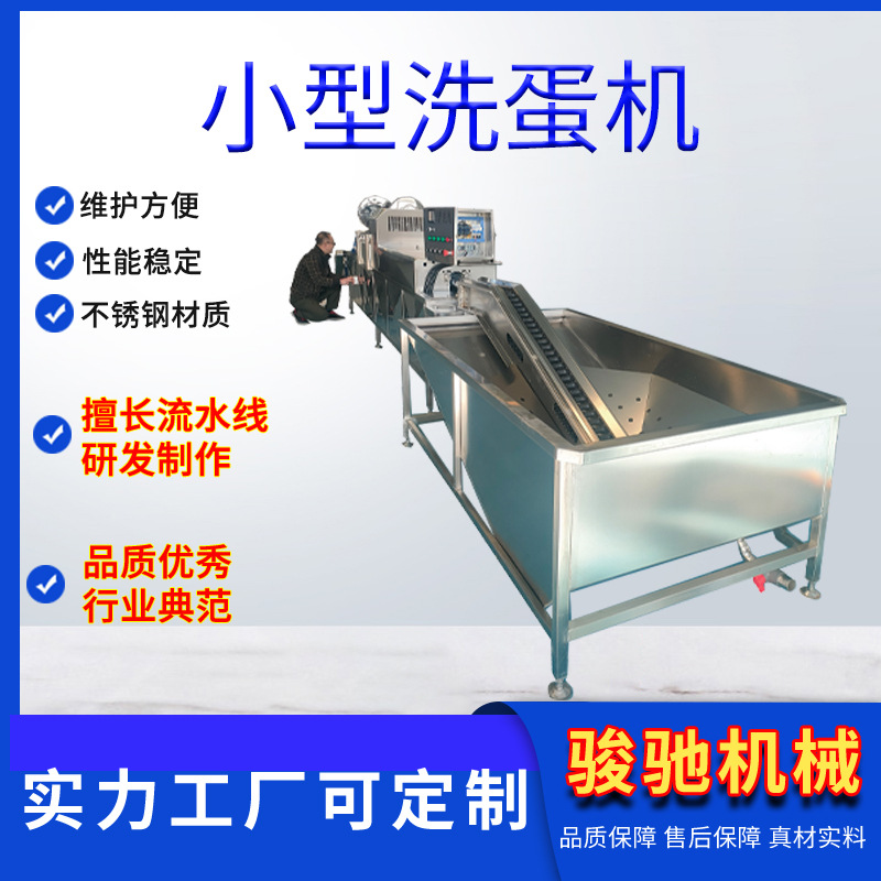 新型不锈钢双排喷淋洗蛋机上蛋机低噪节能适用多种禽蛋清洗