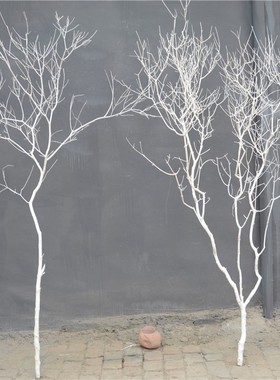 干树枝干枝干树枯树装饰白色树摆件树杆仿真树枝假树枝道具装饰树