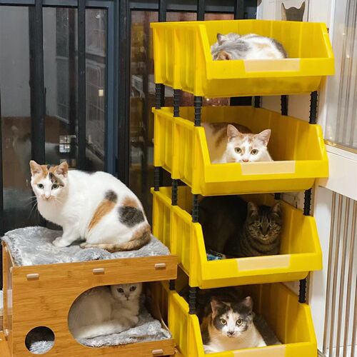 猫砂盆超大号物流周转箱特大号缅因猫集装箱收纳箱工具箱猫咪厕所