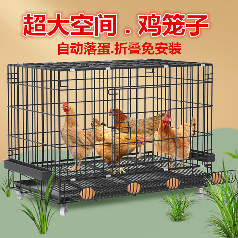 鸡笼家用养殖笼子加粗大号鸭折叠自动滚N蛋经济户外好看简约