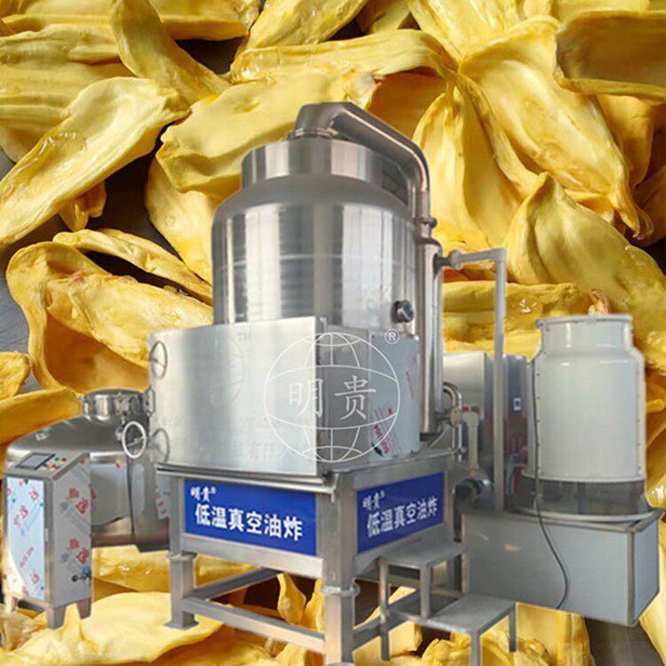 菠萝蜜真空油炸机大型自动炸香蕉片机器果蔬脆成套加工设备
