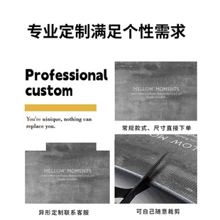 入户门垫进门地垫大门口防滑垫子家用客厅地毯高级定制玄关踩脚垫