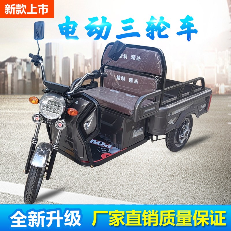电动三轮车成人小型老人迷你接送孩子货车拉货老年步车三轮新款