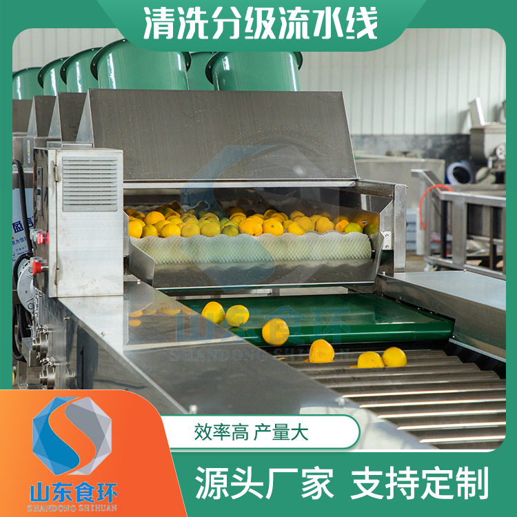 全自动苹果分级机 芦柑分级机 果蔬分级设备金桔清洗分级流水线,清洗/食品/商业设备,其他清洗机,淘宝优惠券,粉丝福利购,淘宝优惠卷