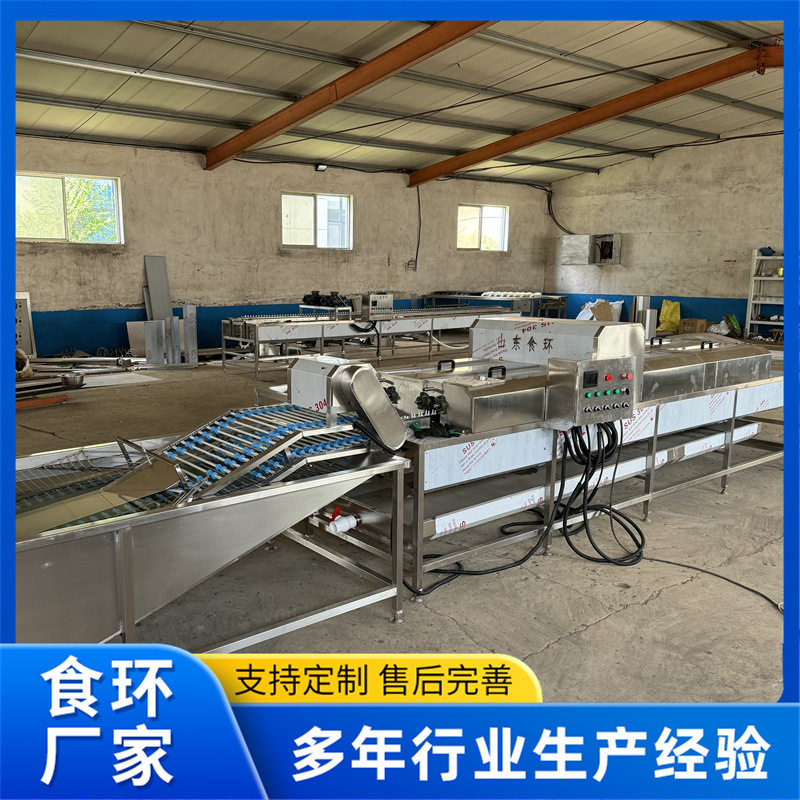双排隧道式洗蛋机 山鸡蛋清洗风干一体机 鹅蛋鹌鹑蛋小型清洗机