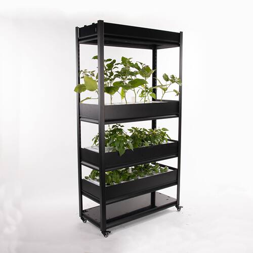 室内水培种菜机 无土栽培种植机 智能种菜机植物工厂设备厂家包邮