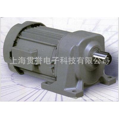 电机 TFO- 0.4W 4P 220V/380AC双电压 电动机