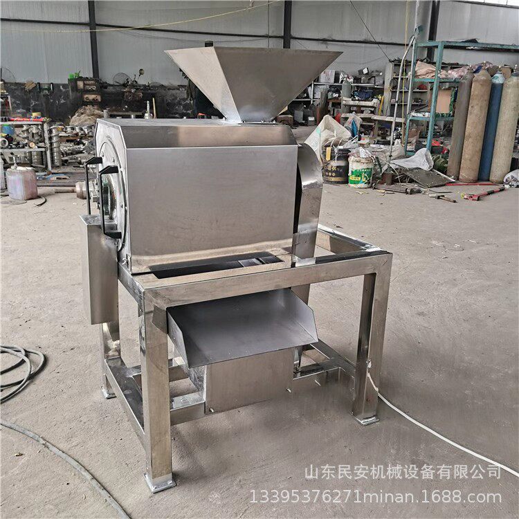 大型工业卧式黄皮果打浆设备芒果去核打汁机商用红枣蓝莓打泥机