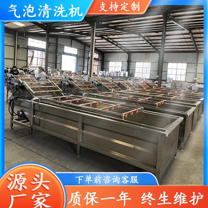 小油菜茼蒿清洗设备商用车厘子果蔬清洗机圣女果气泡清洗设备