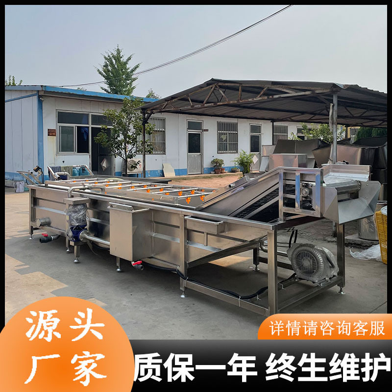 全自动甜玉米清洗机石榴清洗全套设备龙须菜清洗去杂机器