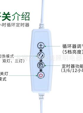 亚逊新款20灯19玉米夹子ESB植物定马led植物生时长灯E27横插植物