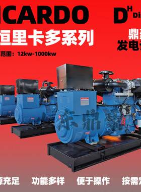 柴油发电机组50 100 200 300 400 500 600kw 鼎豪发电机组厂家