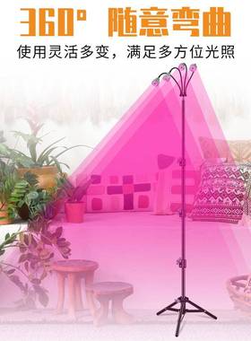 子植物灯多5肉补光生长全光谱夹灯植物照63996明灯花卉培育定时三
