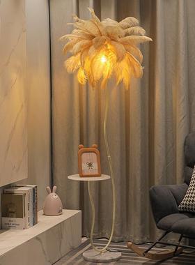 置奶油风水晶毛沙发旁边地灯客厅边几EYI物茶几卧室羽床头落立式