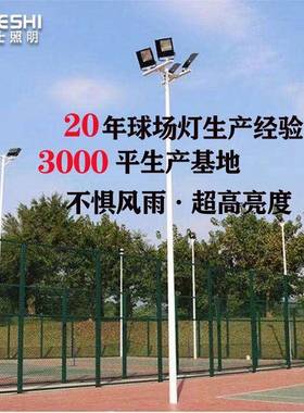 户外篮球场足球体育馆码头广场照场灯中杆灯明杆灯高6米FUA8米球