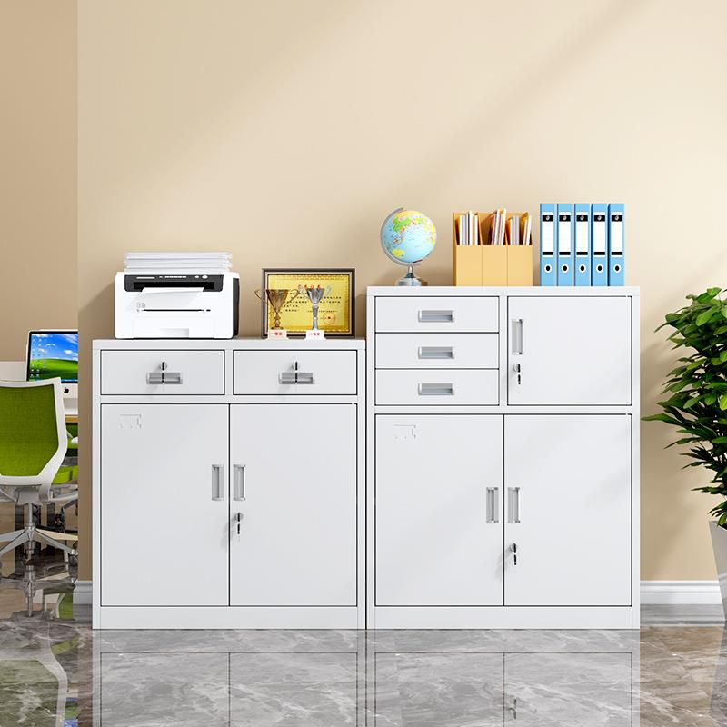 柜办公室文件柜铁皮柜资锁凭证档案柜带钢制文件柜储物柜矮柜收料