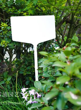 包邮加大号大g面插地牌塑料防水园艺植物标签组合式田间试验插地