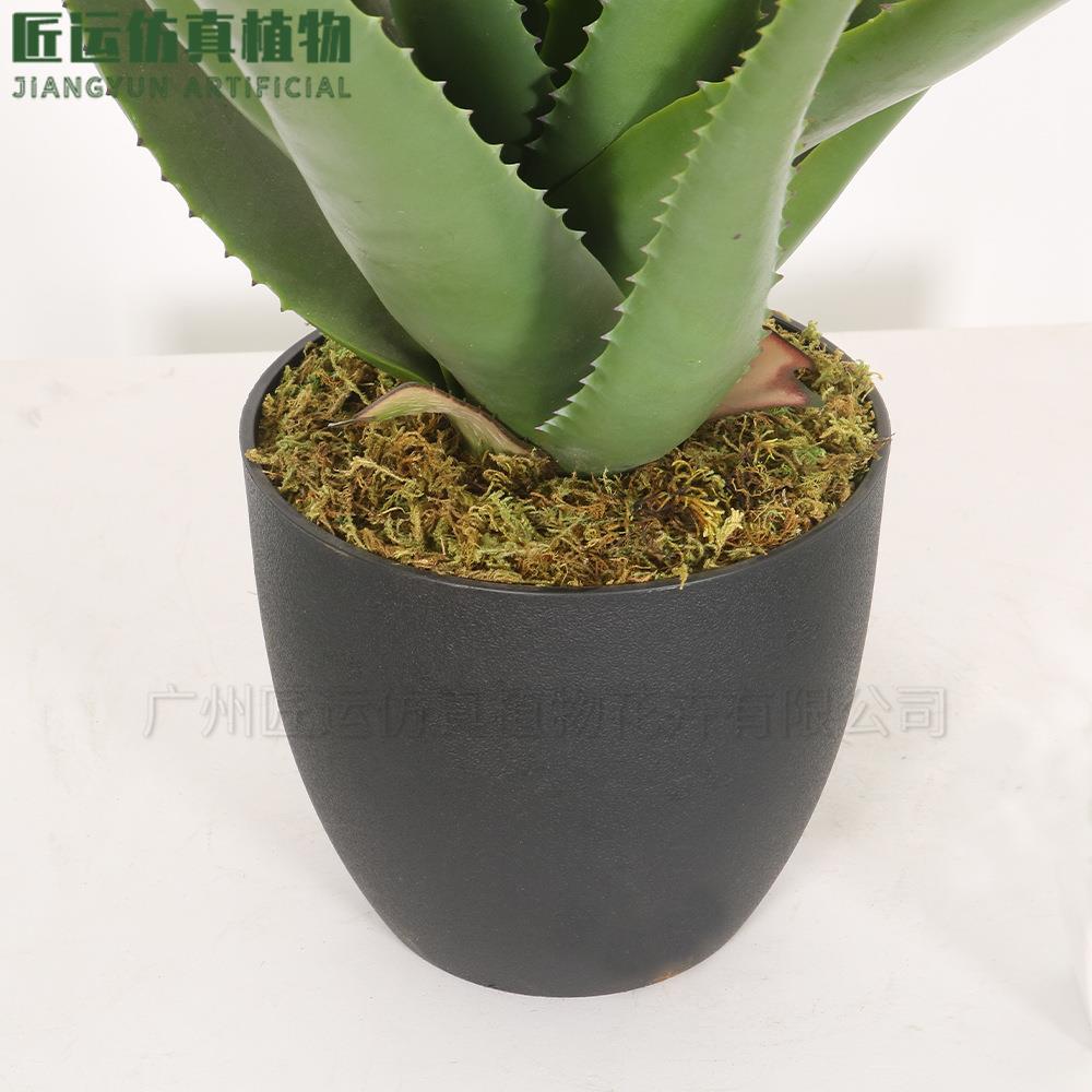 手感软肉加仿MC-10002厚叶片高端大型多胶盆栽造景绿植装饰植物99