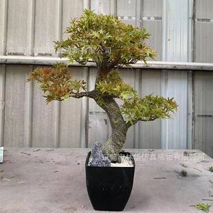 仿真松树盆景仿真迎客松盆栽仿真绿植装饰摆件仿真枫叶树盆栽