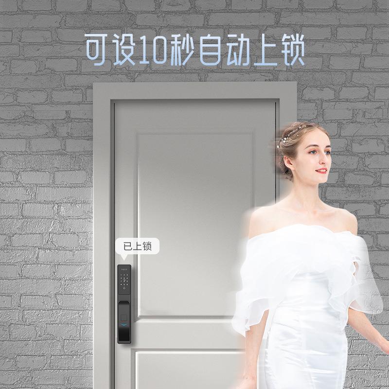尼特全自K8系列动入智能家用防旺盗门指纹锁套装门锁户K8锁Q指纹
