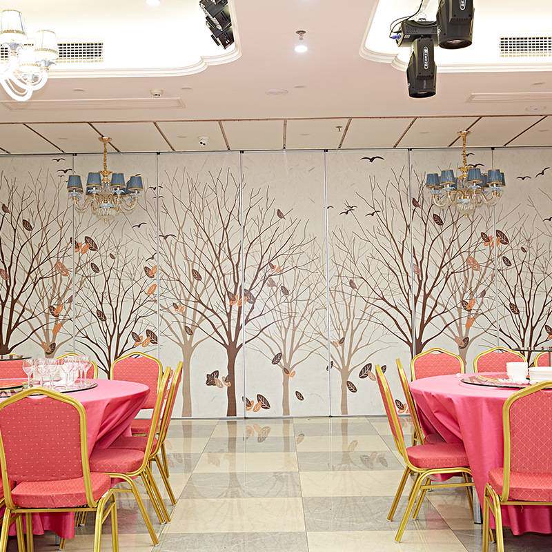 办公室移动屏风酒店隔断移门舞蹈室活动隔断墙推拉式折叠门