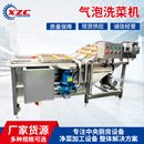 现货气泡洗菜机柑桔橙子清洗机自动洗果机蔬菜水果食品厂专用热销