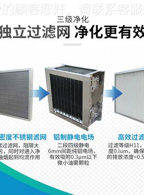 工业油烟油雾净静化 一体式XVT高烟效电式器油净化器 工业油烟净