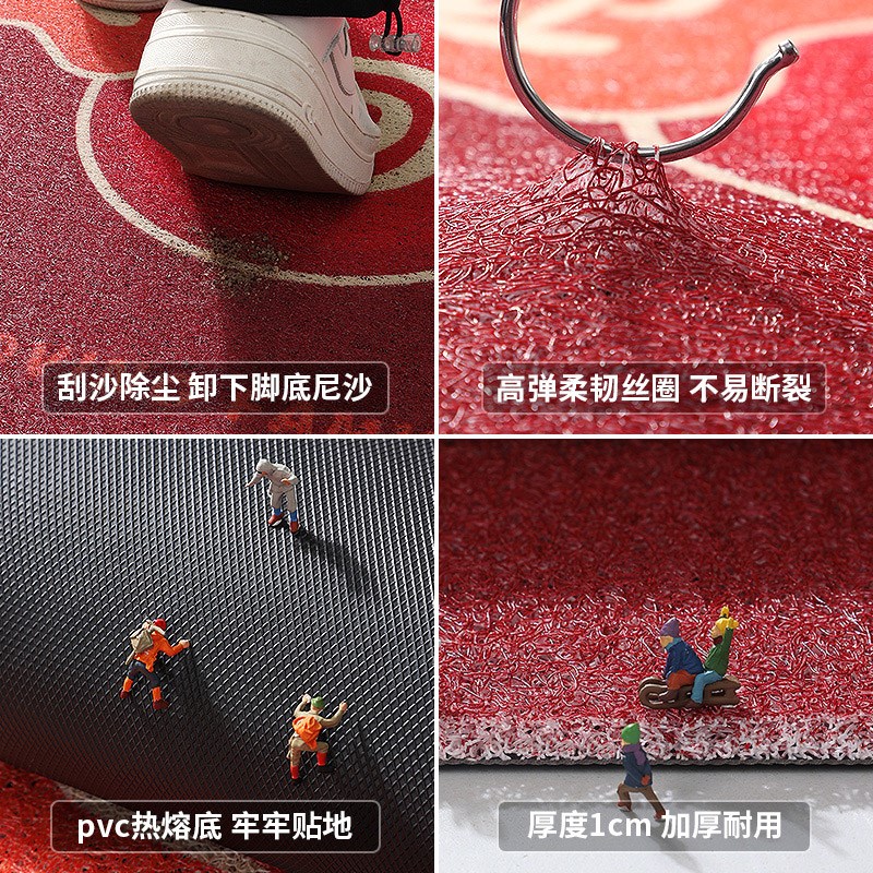 地垫入户门垫进门门口丝圈蹭脚垫2024新款红色玄关进户可裁剪地毯