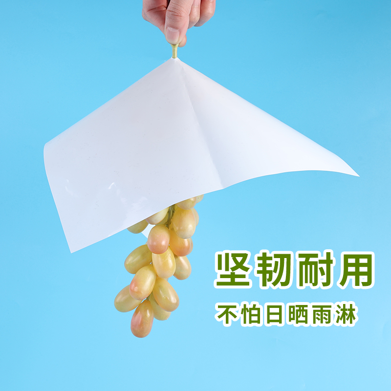 葡萄伞罩葡萄防鸟防果锈塑料套袋防日灼防水防果裂葡萄保护伞