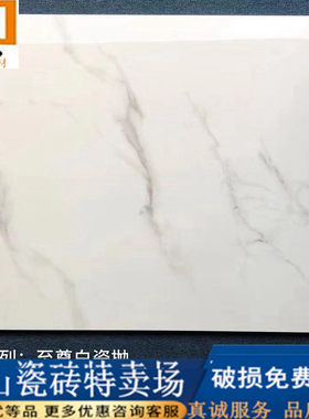磁抛砖加厚瓷砖800x800简约现代客厅地板砖通体大理石地砖全抛釉