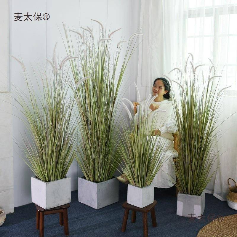 绿植狗尾巴草假芦苇草景麦太保落地盆栽装盆太景室内客饰厅植物造