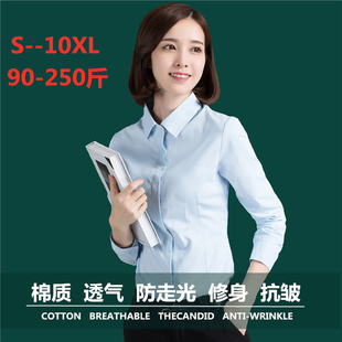 大码 女长袖 正装 24w0斤胖mm妹妹衬衣加肥工作服商务条纹 职业白衬衫