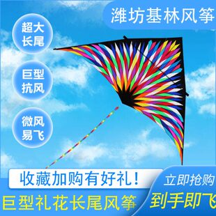 风筝潍坊基林特大风尾杆大型巨型风筝飞平6树脂礼花伞大微长易布