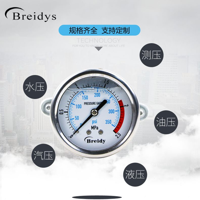 6MPa气压表V压力表水压表Z支架轴向1不锈钢压力表060压力表.带YN-