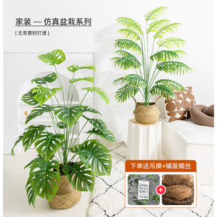 仿真绿植小型假绿植装饰室内仿生绿植盆栽龟背竹仿真花假花摆设