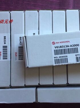 013I0MV6N ORG诺冠-3A 全新现货I-原装正品31V6A0RENA2A21BB1324V