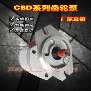LS1F310齿DC 20C 花8 液压309健B油泵D B齿轮泵S1 L20