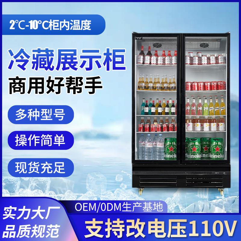 跨境多功能保鲜冷藏展示酒水柜商用酒水饮料蔬果冷冻展示柜系列