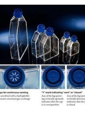 Nunc 159910 细胞培养瓶PS灭菌T25/75/175/225cm密封透气盖培养瓶