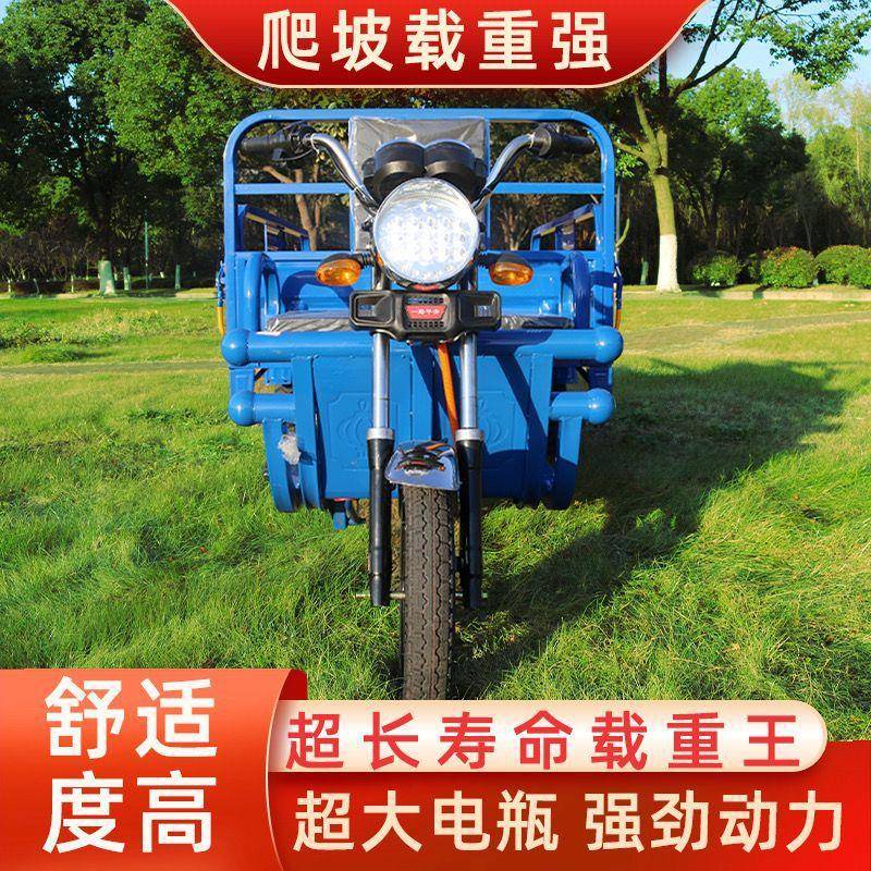 见详情电动三轮王车货车载货王拉货成电瓶加强接送孩子代步车人两