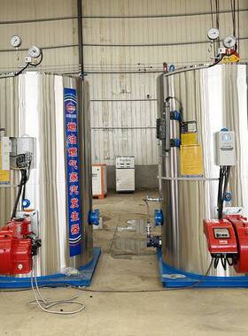 蒸蒸汽锅炉节能PZN蒸汽发生器生燃油气汽发器全自动磁热水锅电炉