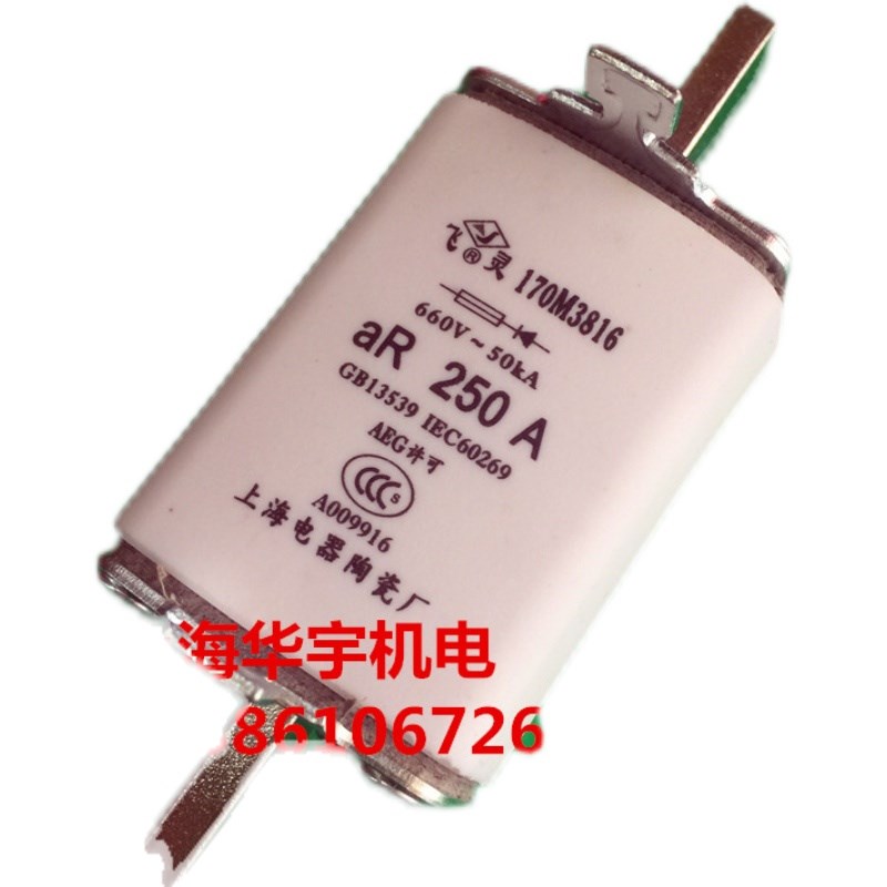 170M3816 170M3816D 250A 保险丝 690V/700V 熔断器