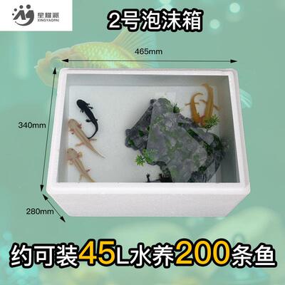 家用种植植泡沫箱蔬菜加厚培育箱VLC花园种箱鲜花育果用培蔬专养