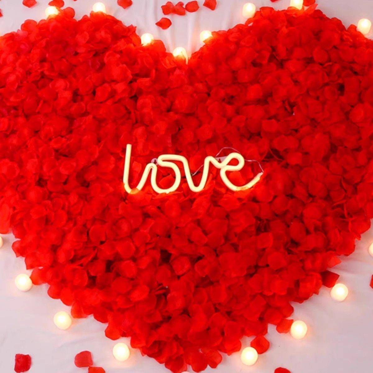 情人求婚白玫瑰假节花瓣结婚婚房创厂家直供意装饰七漫夕浪酒表店