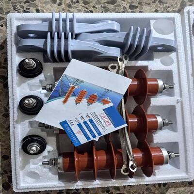 锌10KV高压HY5WS-17氧化避雷H器Y5WS-1/750L脱扣式避雷器带脱离器