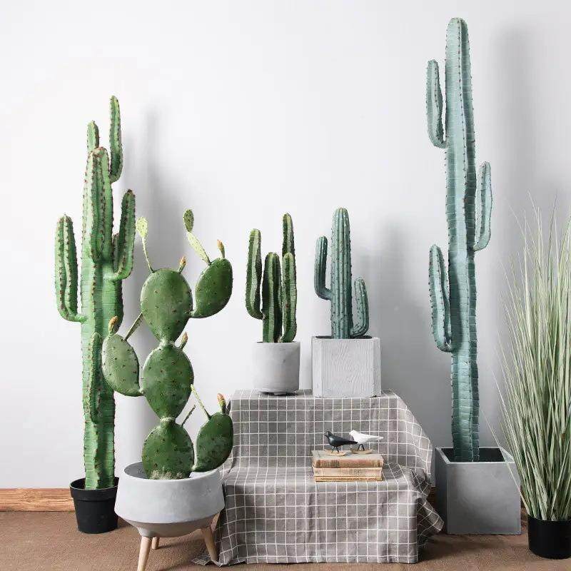 仿大真绿落植仙人柱地量天盆栽室内北尺欧装001饰型布景热带植物