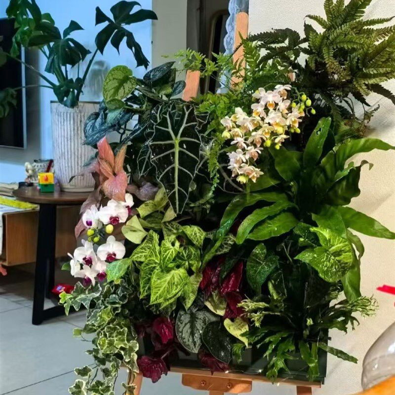 四孔种菜种c花种植盒花盆户外工程室内绿化壁挂植物墙鸭脚4-5-6个