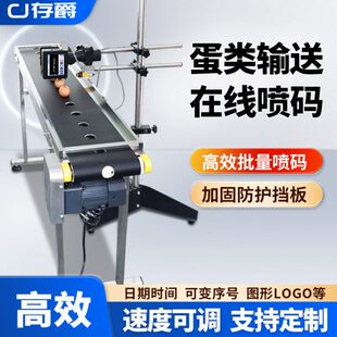 不锈钢喷码机流水线台全自动喷码机LOGO自动打码机激光鸡蛋小型可