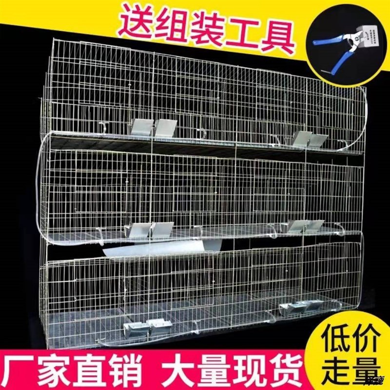 包邮兔笼12位24位子母兔笼养殖场专用兔笼大号大型繁殖种兔笼兔舍